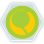 Symbol Hassassin Fiday
