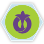 Symbol Magharibské gardy