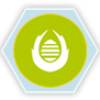 Symbol Odalisek