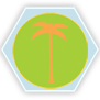 Symbol Murabidských Tuaregů