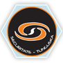 Symbol Securitate